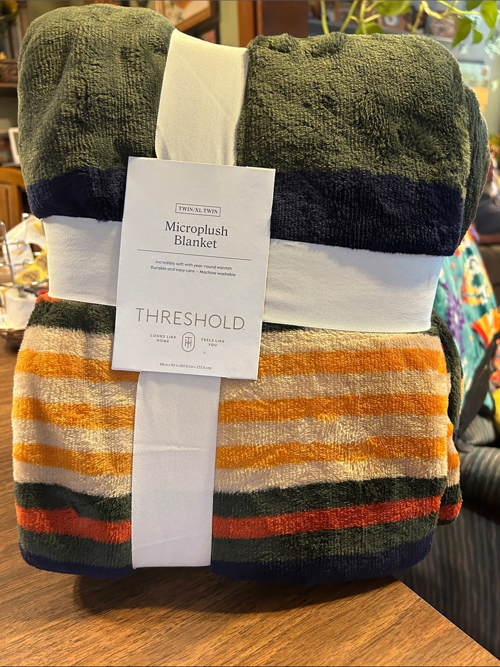 Threshold Microplush Blanket in Olive Green with Multi-Color Stripes